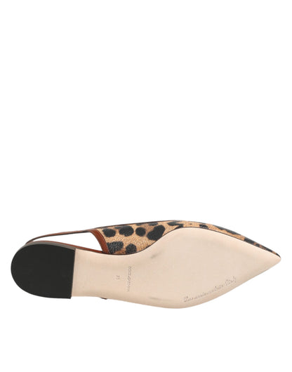 Dolce & Gabbana Brown Leopard Slingback Flats Sandals Shoes