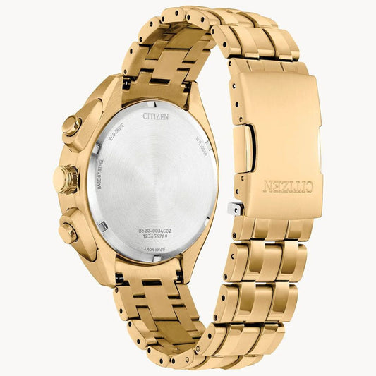 Citizen Gold Stainless Steel Sport Watch